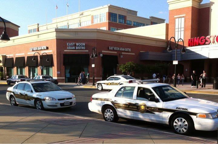 Retail, Shopping Centers, Mall & Commercial Security